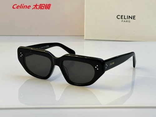 C.e.l.i.n.e. Sunglasses AAAA 4869