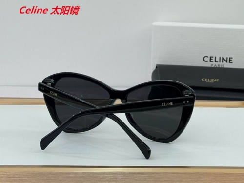 C.e.l.i.n.e. Sunglasses AAAA 4884