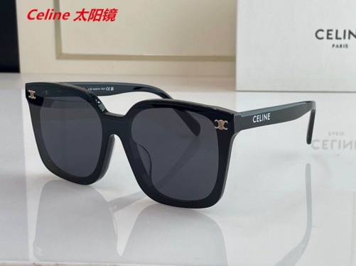 C.e.l.i.n.e. Sunglasses AAAA 4036