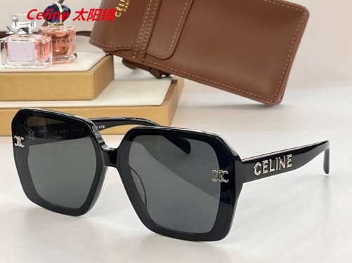 C.e.l.i.n.e. Sunglasses AAAA 4916