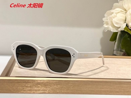 C.e.l.i.n.e. Sunglasses AAAA 4365