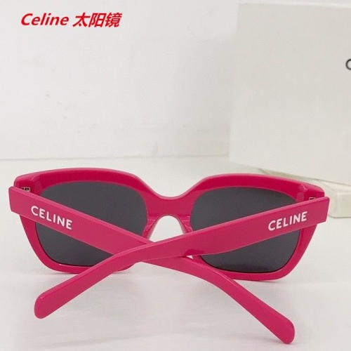 C.e.l.i.n.e. Sunglasses AAAA 4583