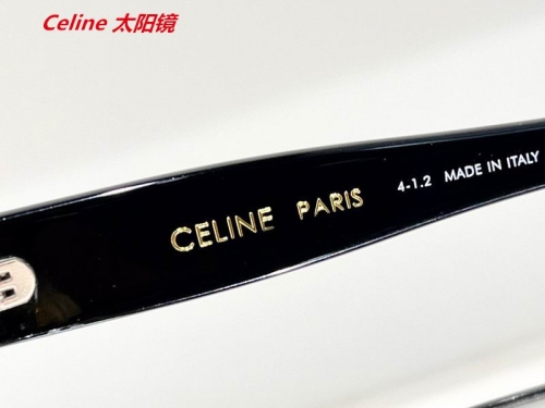 C.e.l.i.n.e. Sunglasses AAAA 4723