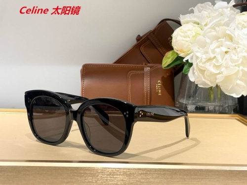 C.e.l.i.n.e. Sunglasses AAAA 5004