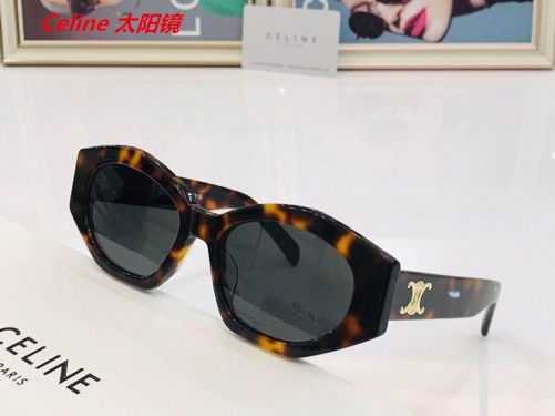 C.e.l.i.n.e. Sunglasses AAAA 4167