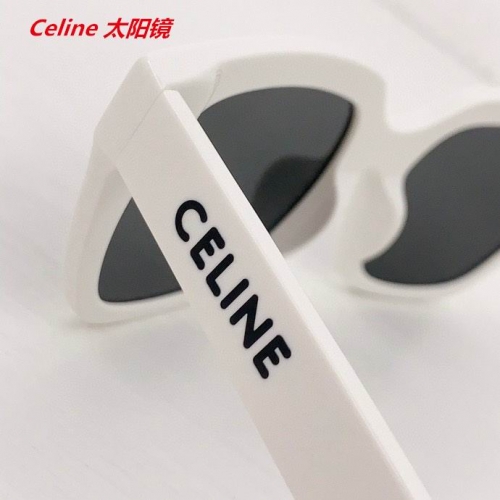 C.e.l.i.n.e. Sunglasses AAAA 4584