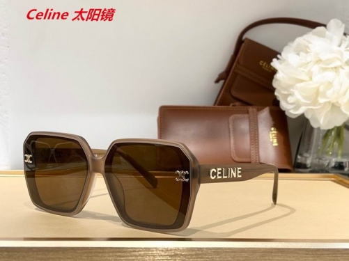 C.e.l.i.n.e. Sunglasses AAAA 4380