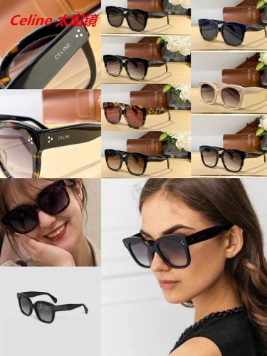 C.e.l.i.n.e. Sunglasses AAAA 4985