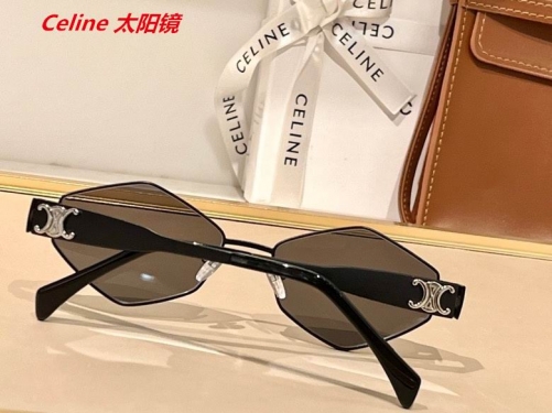 C.e.l.i.n.e. Sunglasses AAAA 4475