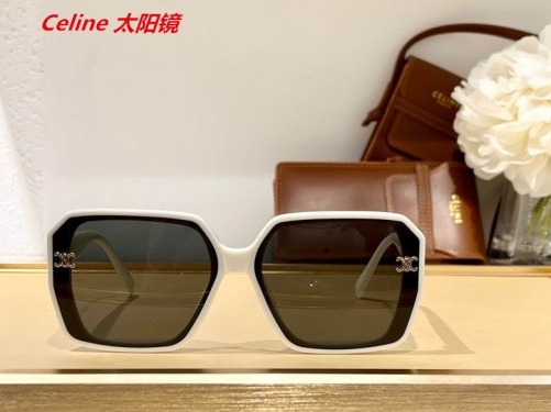 C.e.l.i.n.e. Sunglasses AAAA 4397