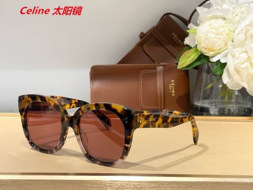 C.e.l.i.n.e. Sunglasses AAAA 5007