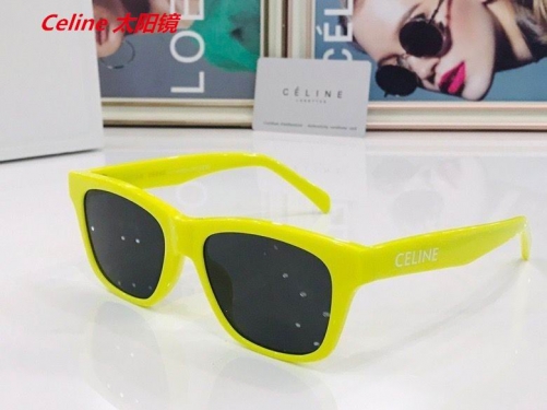 C.e.l.i.n.e. Sunglasses AAAA 4175