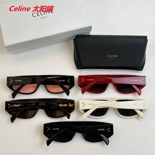 C.e.l.i.n.e. Sunglasses AAAA 4593