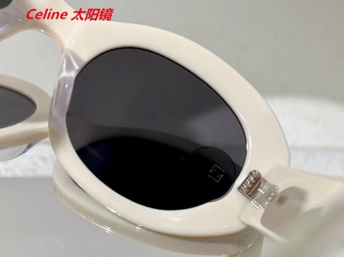 C.e.l.i.n.e. Sunglasses AAAA 4529