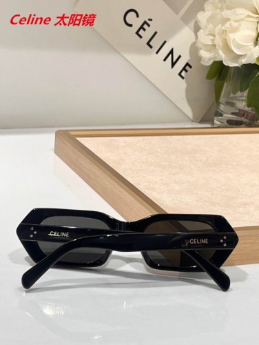 C.e.l.i.n.e. Sunglasses AAAA 4338