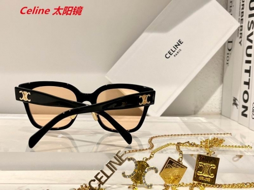 C.e.l.i.n.e. Sunglasses AAAA 4731