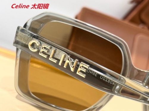 C.e.l.i.n.e. Sunglasses AAAA 4386