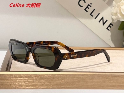 C.e.l.i.n.e. Sunglasses AAAA 4345