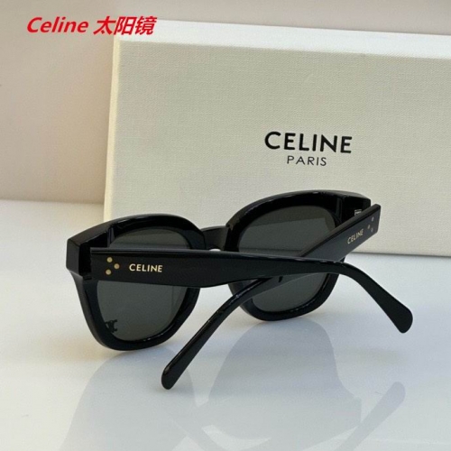 C.e.l.i.n.e. Sunglasses AAAA 4816