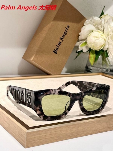 P.a.l.m. A.n.g.e.l.s. Sunglasses AAAA 4138