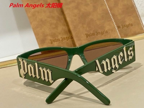 P.a.l.m. A.n.g.e.l.s. Sunglasses AAAA 4175