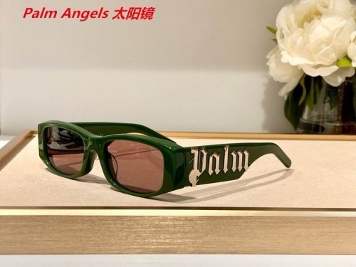 P.a.l.m. A.n.g.e.l.s. Sunglasses AAAA 4176