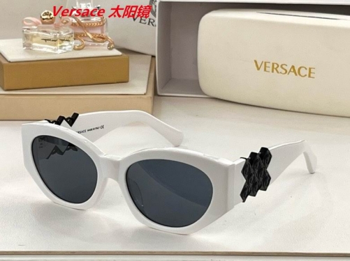 V.e.r.s.a.c.e. Sunglasses AAAA 4066