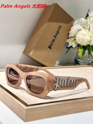 P.a.l.m. A.n.g.e.l.s. Sunglasses AAAA 4032