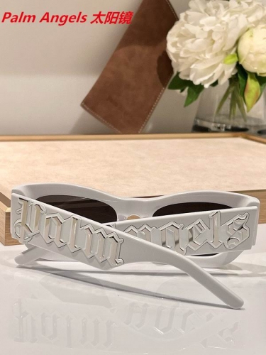 P.a.l.m. A.n.g.e.l.s. Sunglasses AAAA 4129