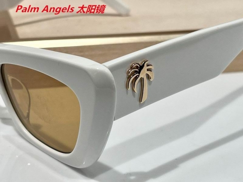 P.a.l.m. A.n.g.e.l.s. Sunglasses AAAA 4036