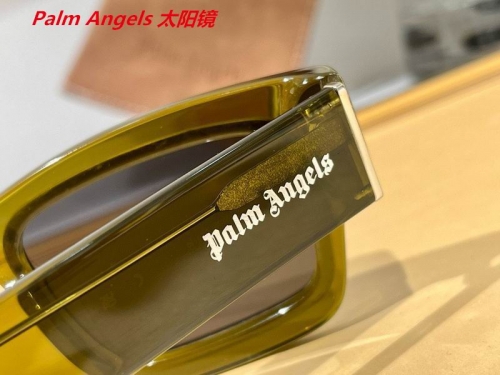 P.a.l.m. A.n.g.e.l.s. Sunglasses AAAA 4084