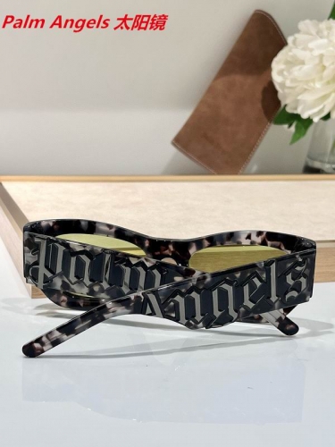 P.a.l.m. A.n.g.e.l.s. Sunglasses AAAA 4135