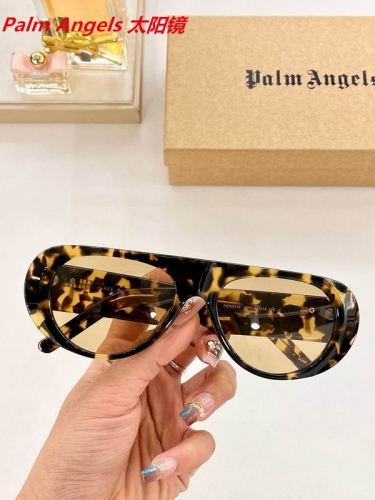 P.a.l.m. A.n.g.e.l.s. Sunglasses AAAA 4163