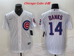 MLB Chicago Cubs 147 Men