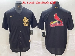 MLB St.Louis Cardinals 070 Men