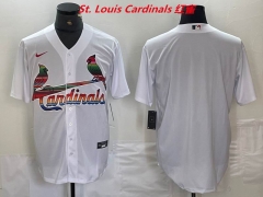 MLB St.Louis Cardinals 067 Men