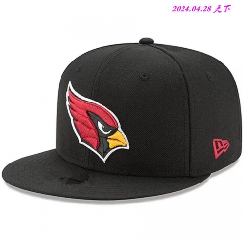 NFL Snapbacks 5307 Men