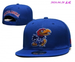 NCAA Snapbacks 1287 Men