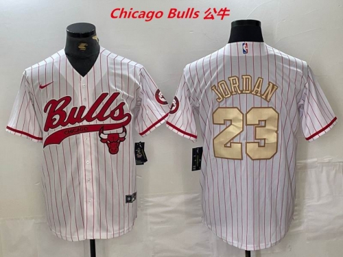 NBA-Chicago Bulls 699 Men