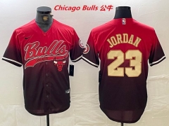 NBA-Chicago Bulls 702 Men