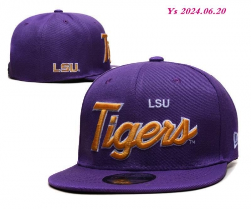 NCAA Snapbacks 1311 Men