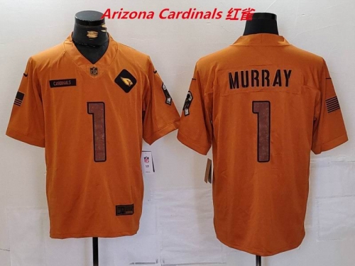 NFL Arizona Cardinals 139 Men