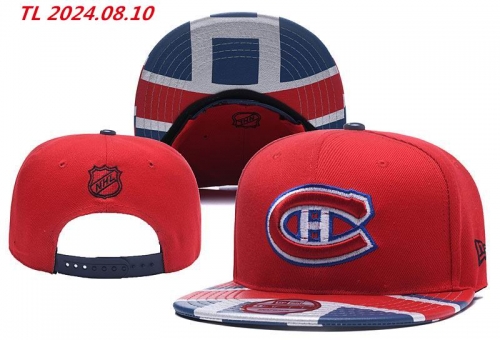 NHL Snapbacks 1141 Men