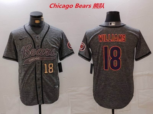 NFL Chicago Bears 318 Men