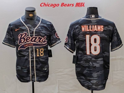 NFL Chicago Bears 309 Men