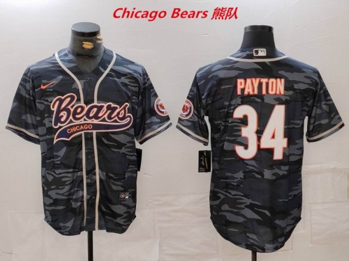 NFL Chicago Bears 310 Men