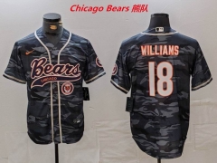 NFL Chicago Bears 308 Men