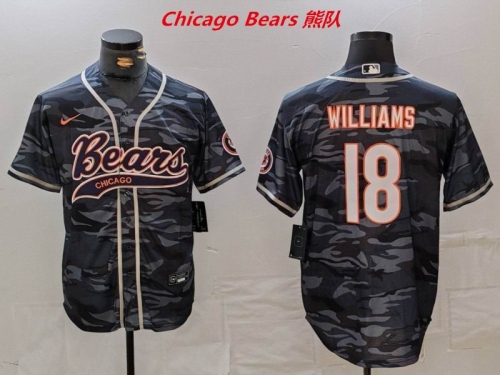 NFL Chicago Bears 307 Men