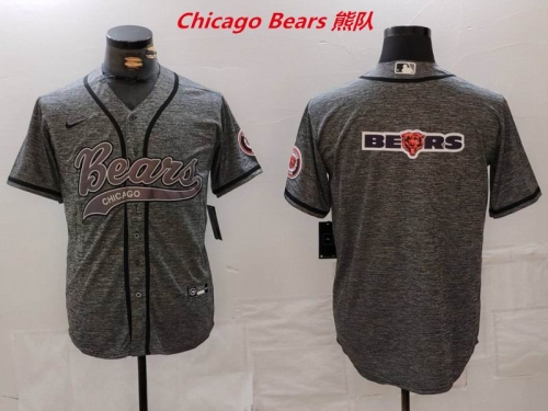 NFL Chicago Bears 314 Men