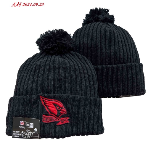 2024/25 NFL Beanies 3067 Men